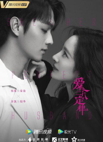 مسلسل هي وزوجها المثالي She And Her Perfect Husband مترجم