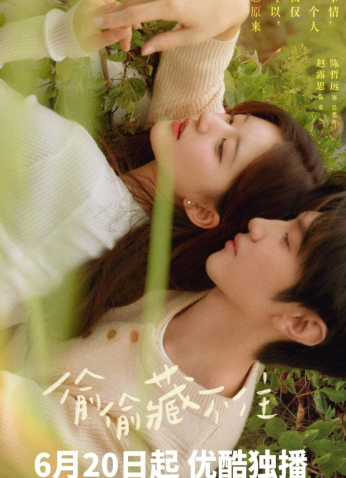 مسلسل صيني حب خفي /2023 Hidden Love مترجم