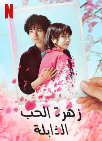 فيلم Love Like the Falling Petals / زهرة الحب الذابلة 2022 مترجم