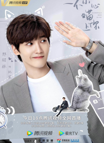 مسلسل Accidentally Meow On You مؤاء مؤاء يرتبط بالحب مترجم