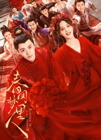 مسلسل Romance Of A Twin Flower /الرومانسية لتوأم الزهرة مترجم