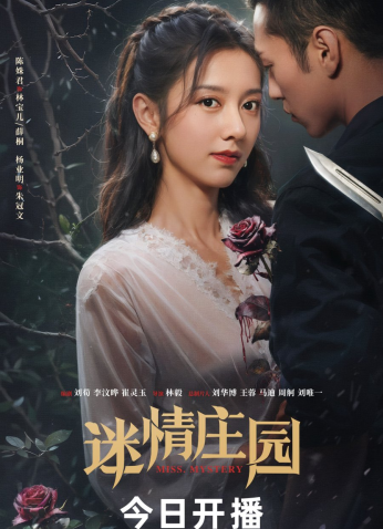 مسلسل Miss Mystery /سيدة الغموض مترجم