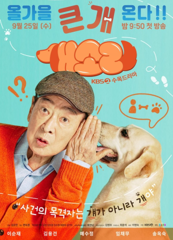 مسلسل Dog Knows Everything / الكلب يعرف كل شيء مترجم