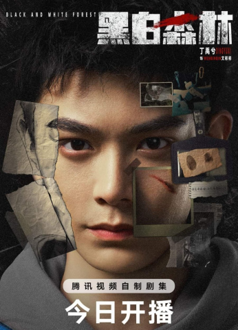 مسلسل الغابة السوداء والبيضاء/ Black & White Forest مترجم