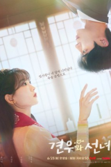 مسلسل  الهيام في الحب /Head Over Heels مترجم