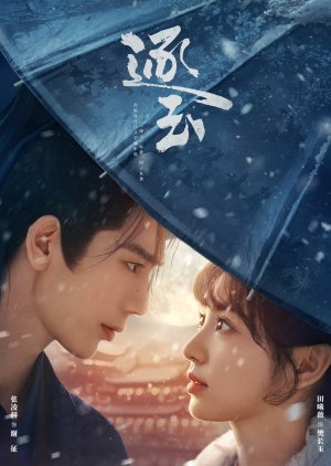 مسلسل  البحث عن اليشم /Pursuit Of Jade مترجم